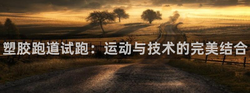 尊龙官网在哪里:塑胶跑道试跑:运动与技术的完美结合